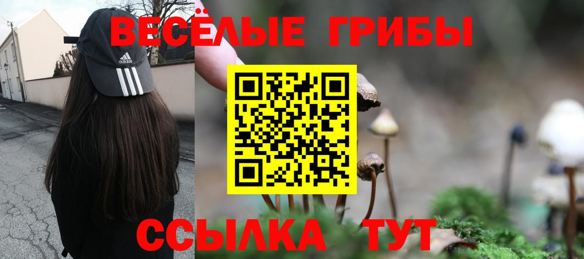 Черкесск  Псилоцибиновые грибы мицелий  Вход с VPN 