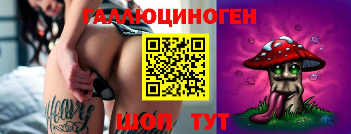 Галлюциногенные грибы Psilocybine cubensis Черкесск
