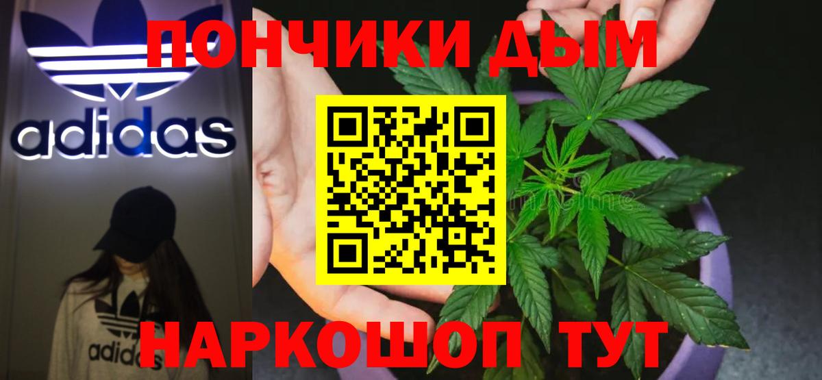 Марихуана сатива Черкесск